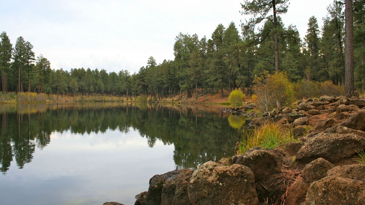 Photo of Others in Pinetop