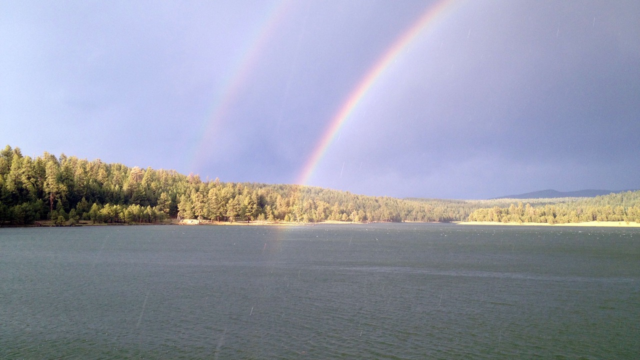 Photo of Others in Pinetop