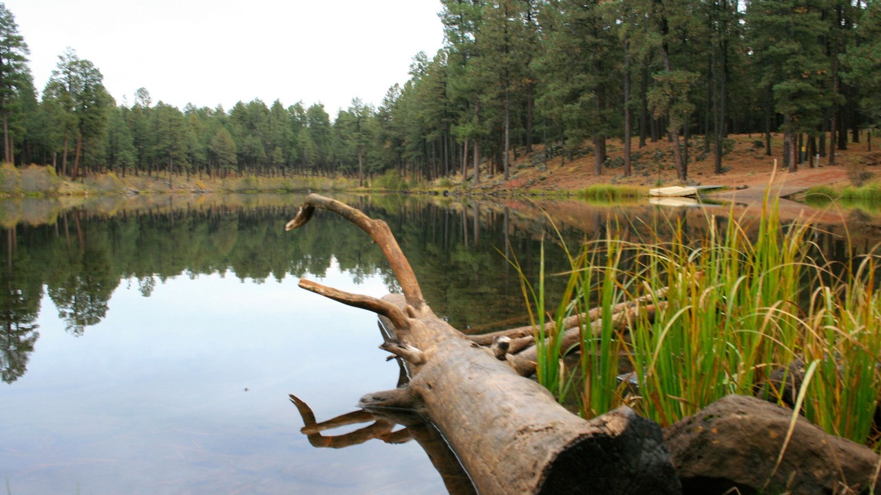 Photo of Outdoor in Pinetop