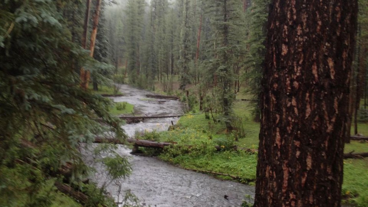Photo of Others in Pinetop