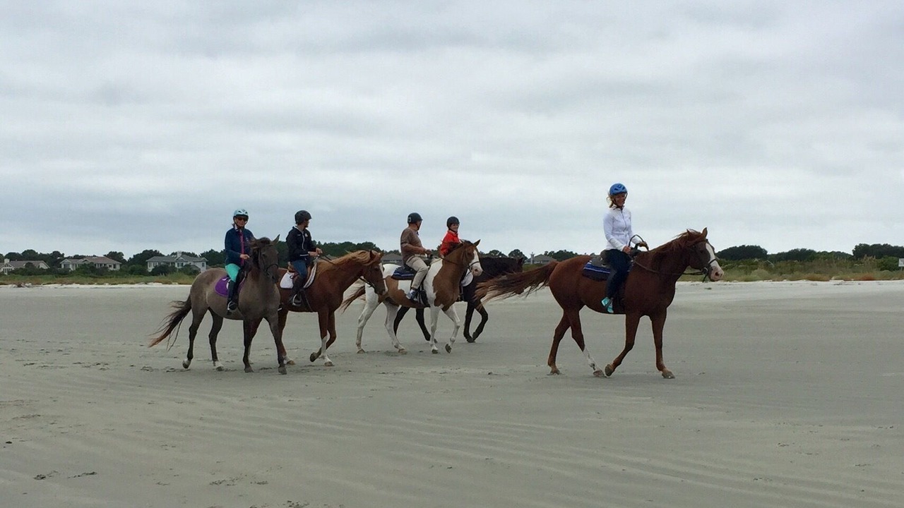 Photo of Others in Seabrook Island