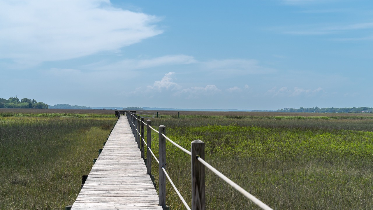 Photo of Others in Seabrook Island