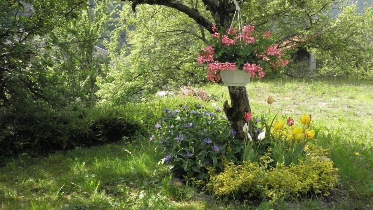 Photo of Outdoor in Villard-sur-Doron