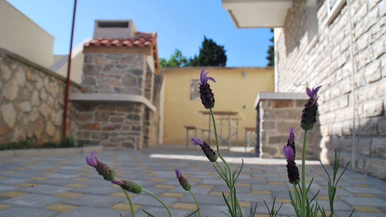 Photo of Outdoor in Betina