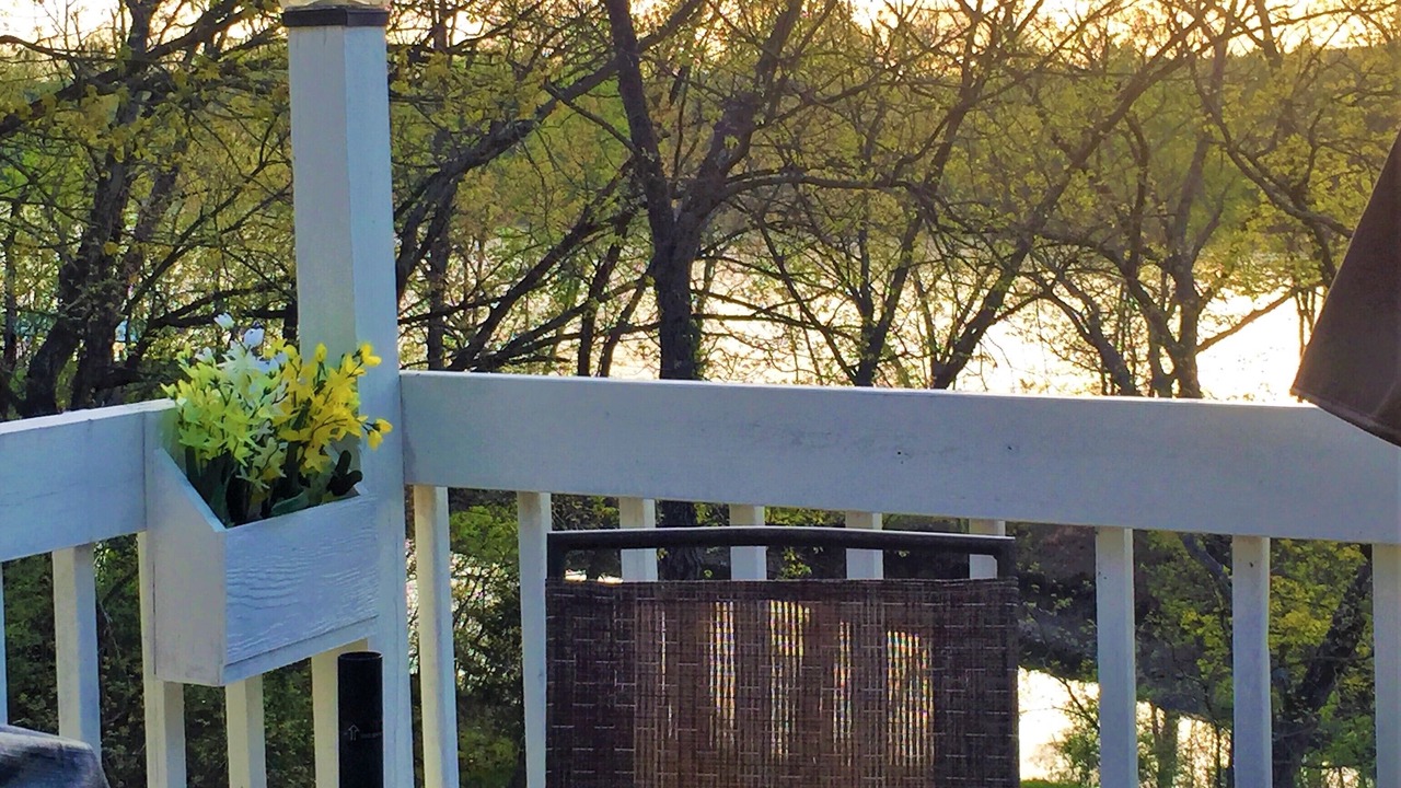 Photo of Outdoor in SaddleBrook
