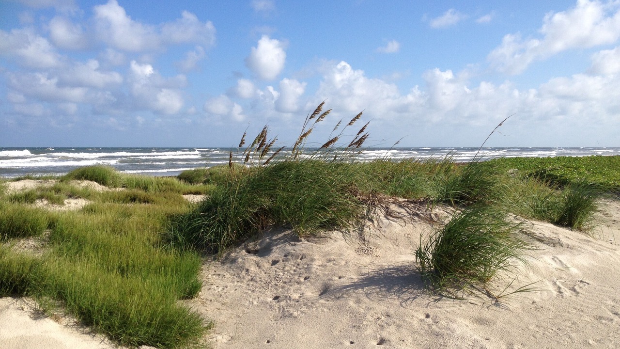 Photo of Others in Corpus Christi