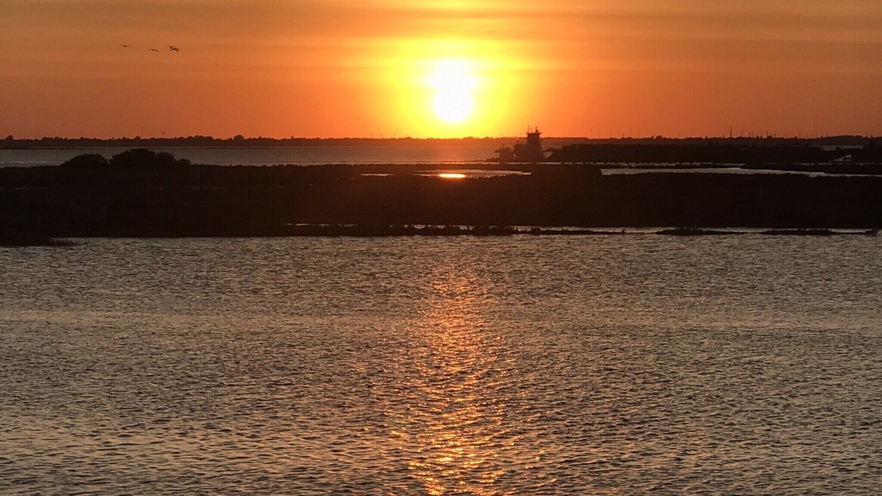 Photo of Others in Corpus Christi