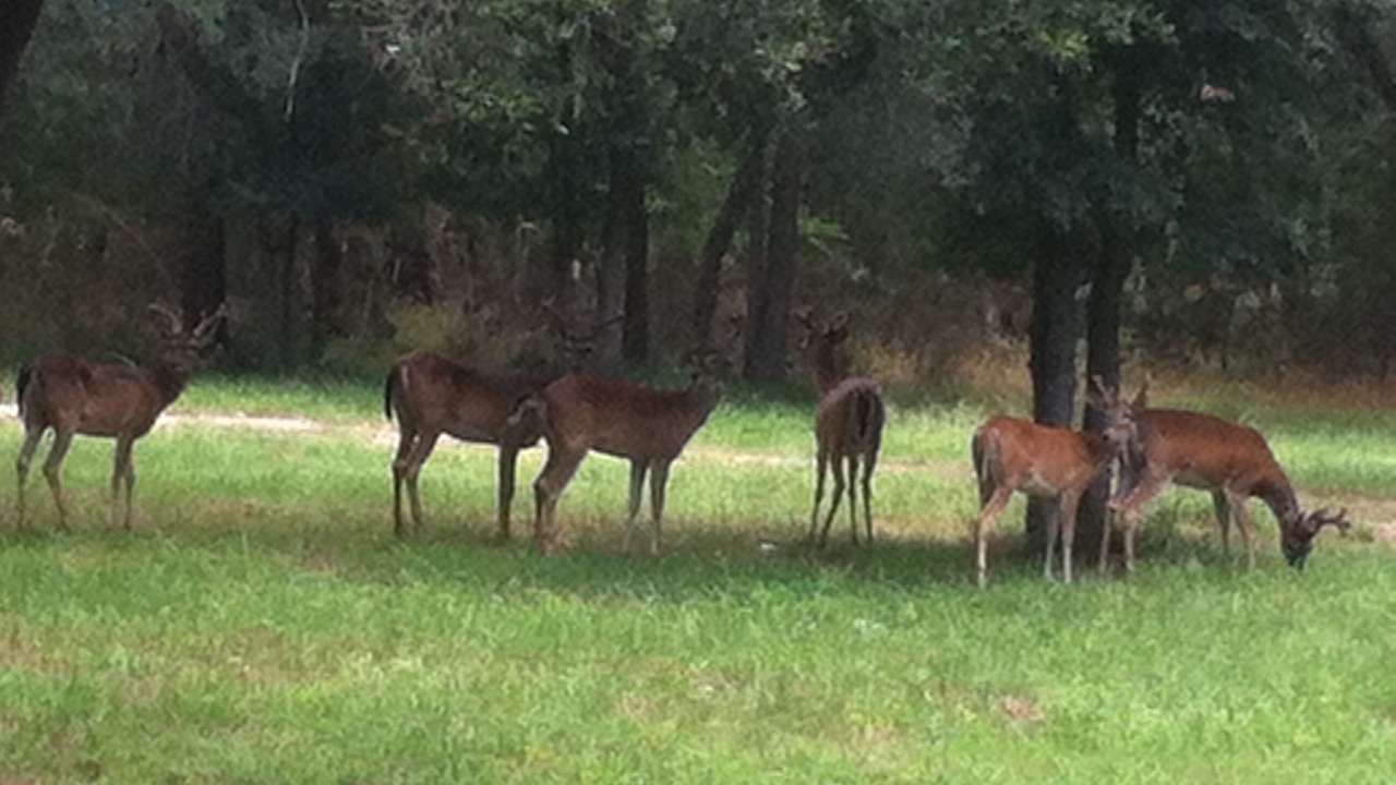 Photo of Others in Crawford
