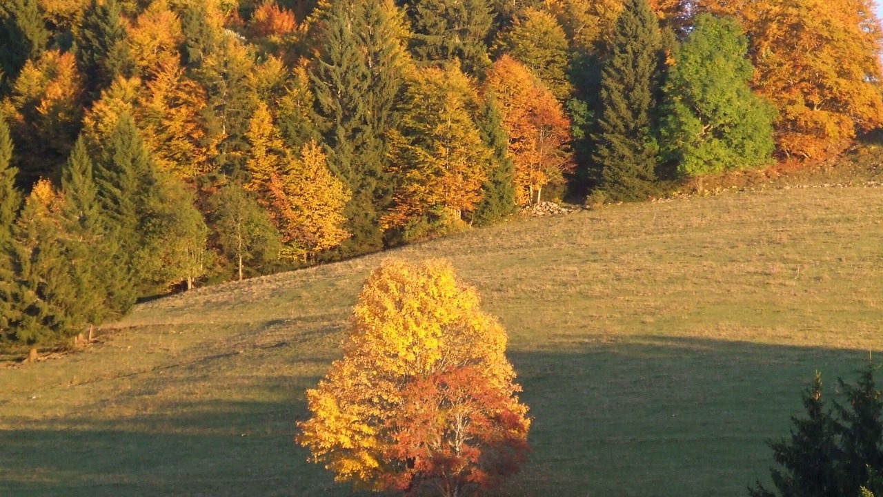 Photo of Outdoor in Septmoncel les Molunes