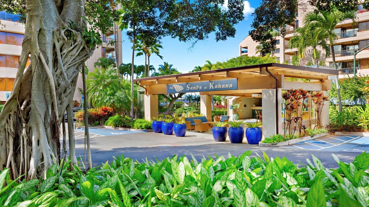 Photo of Outdoor in Napili