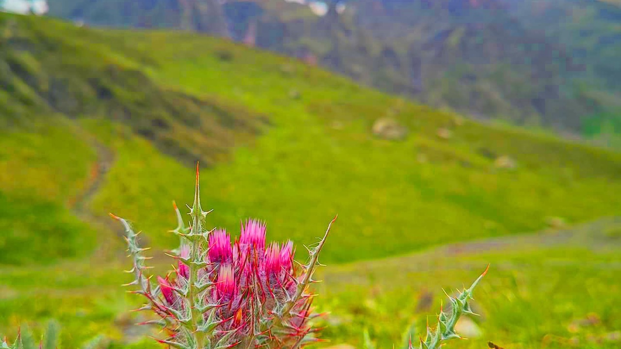 Photo of Outdoor in La Mongie