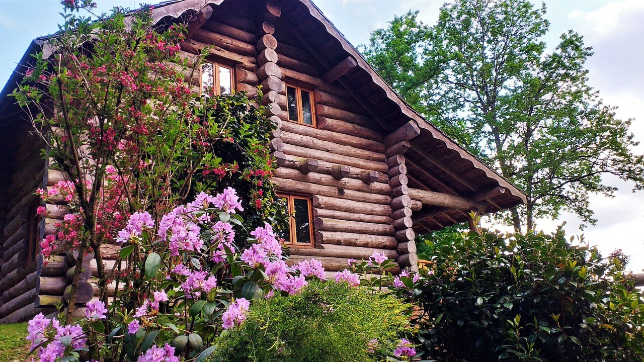 Photo of Outdoor in Saint-Hilaire-les-Courbes