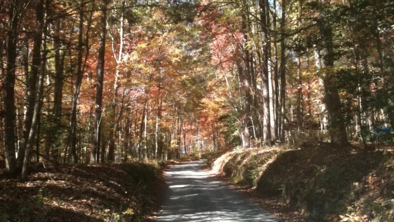 Photo of Others in Cashes Valley