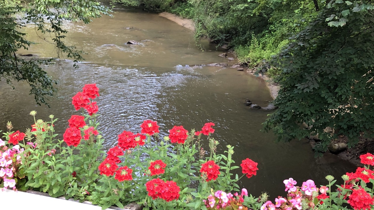 Photo of Outdoor in Cashes Valley