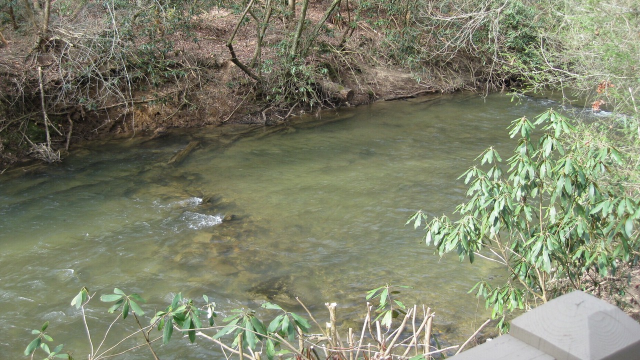 Photo of Outdoor in Cashes Valley