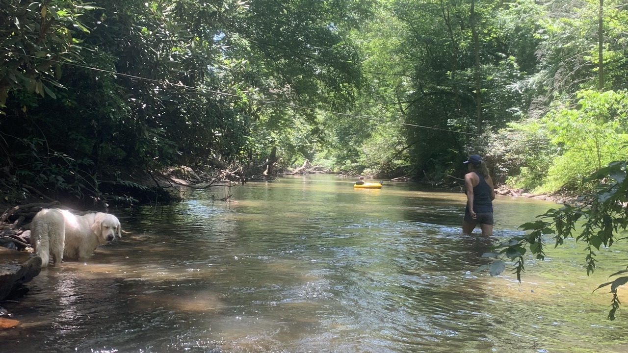 Photo of Outdoor in Cashes Valley