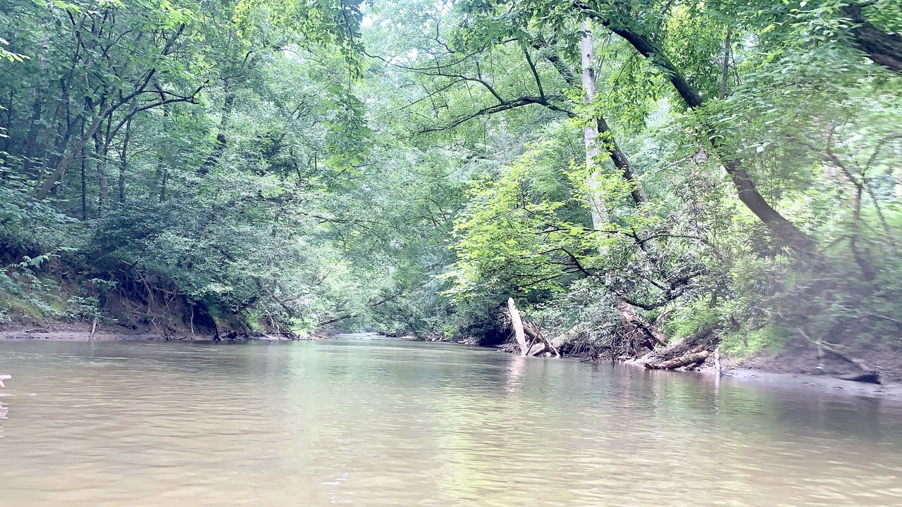 Photo of Others in Cashes Valley