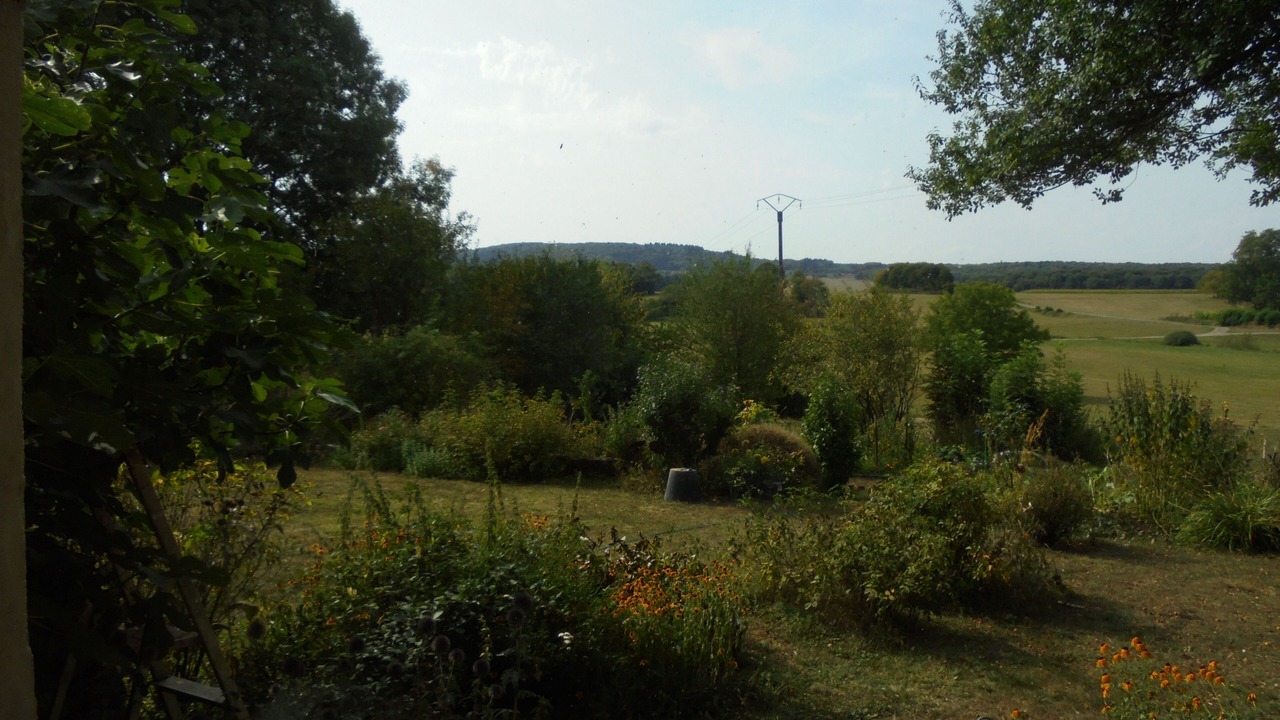 Photo of Outdoor in Sermange