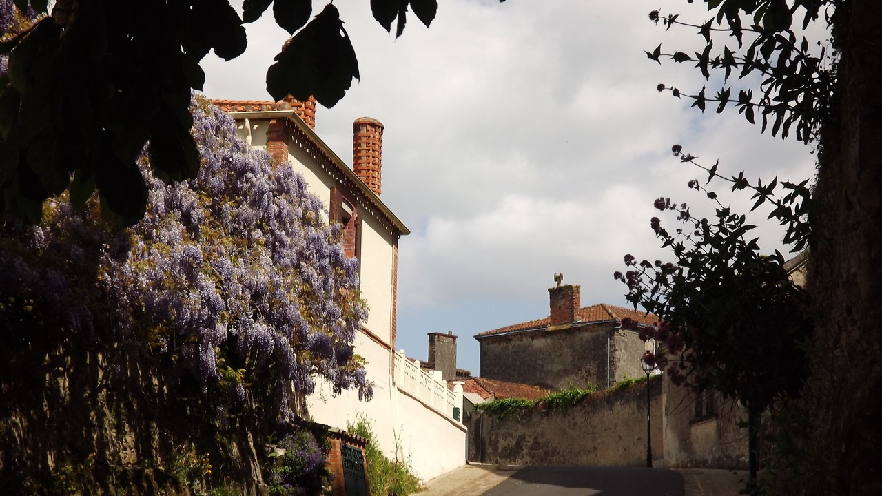 Photo of Outdoor in Apremont