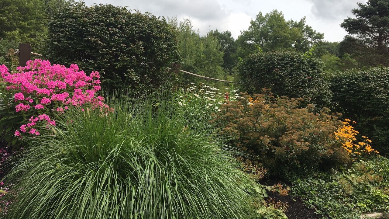 Photo of Outdoor in Ellicottville