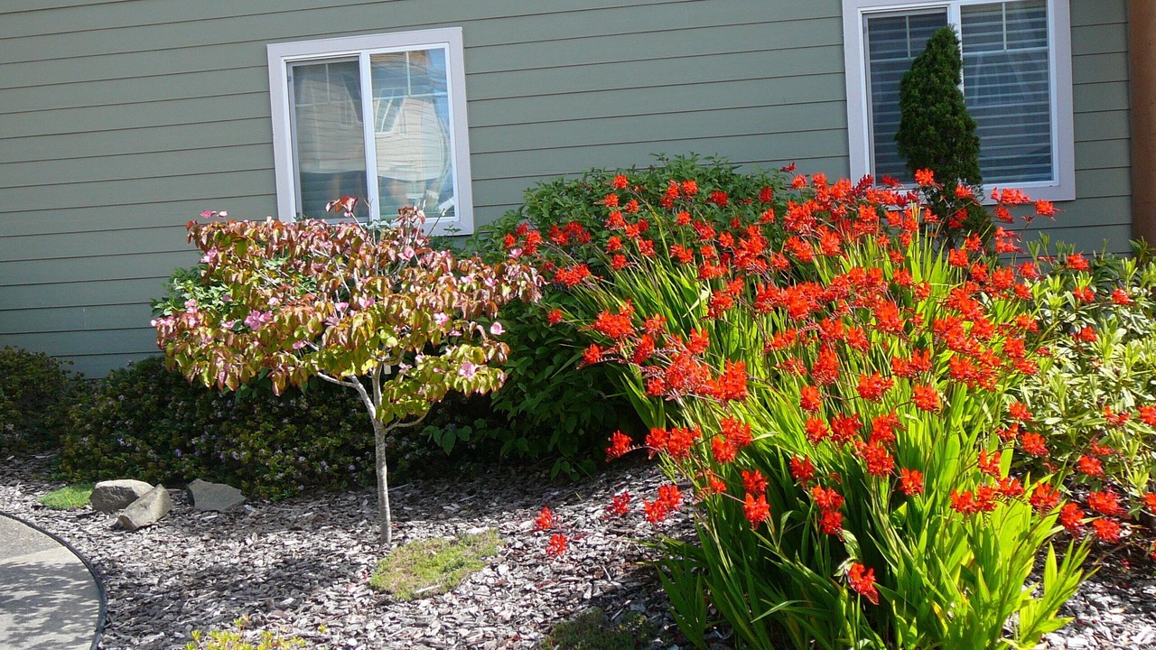 Photo of Outdoor in Florence