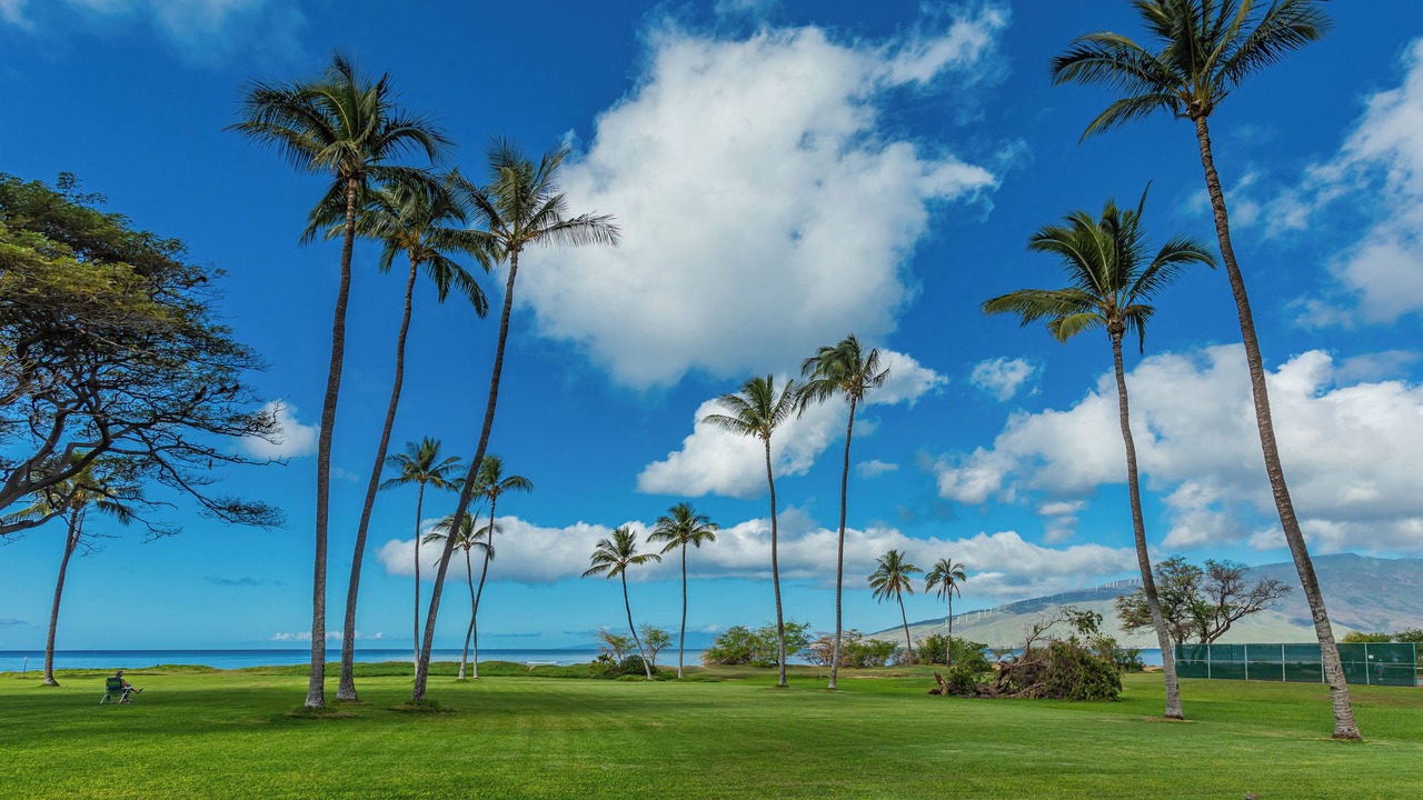 Photo of Outdoor in Kihei