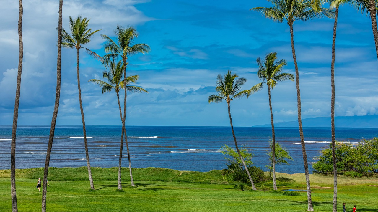Photo of Others in Kihei