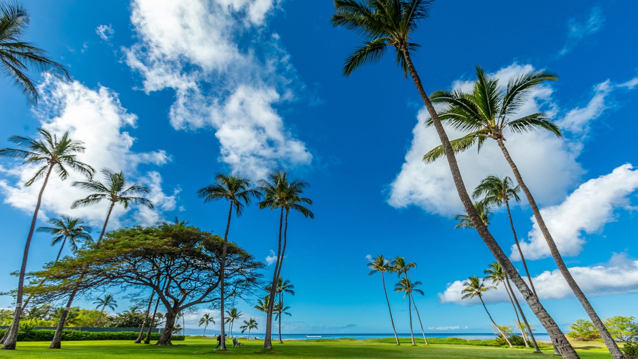 Photo of Others in Kihei