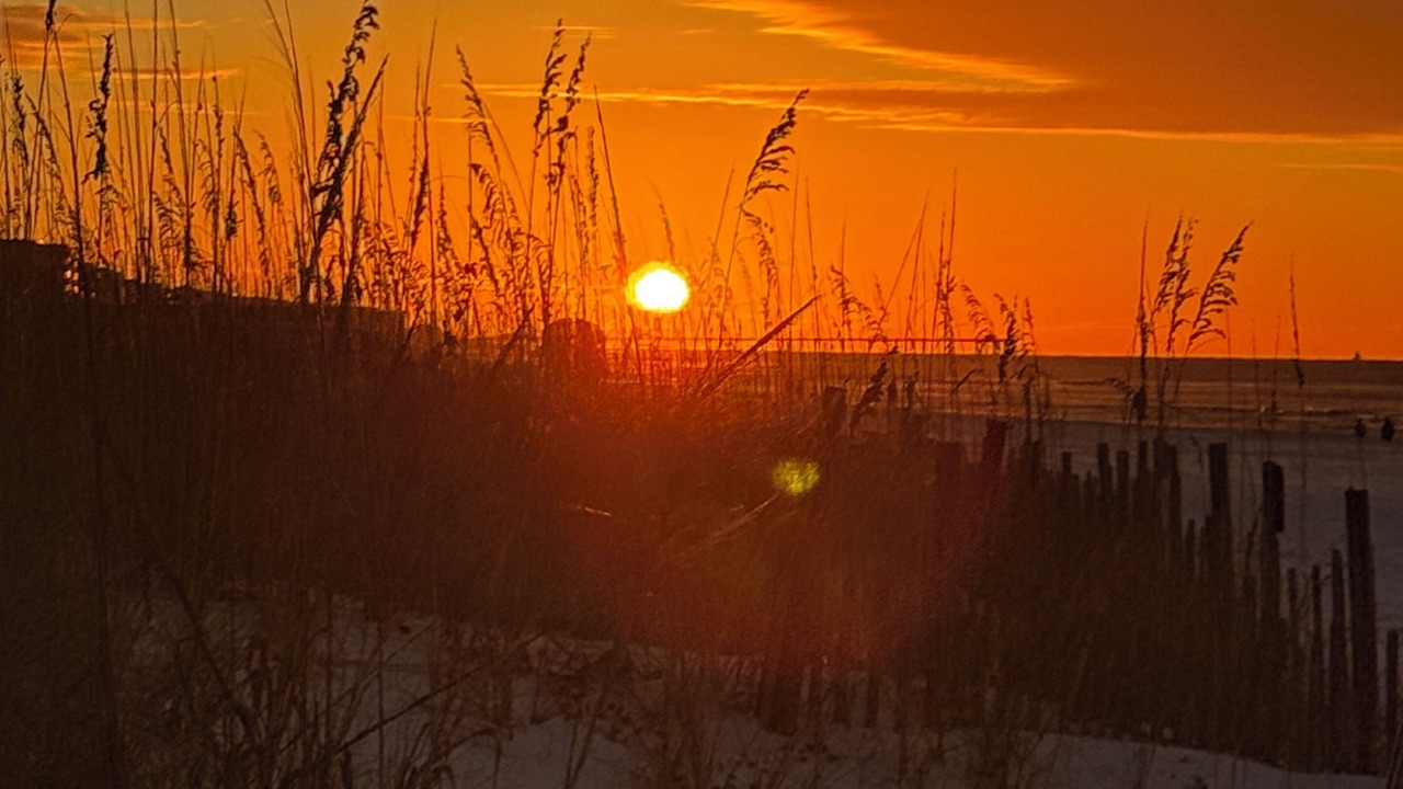 Photo of Others in Fort Walton Beach