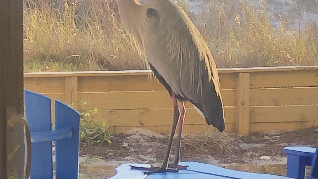 Photo of Outdoor in Fort Walton Beach