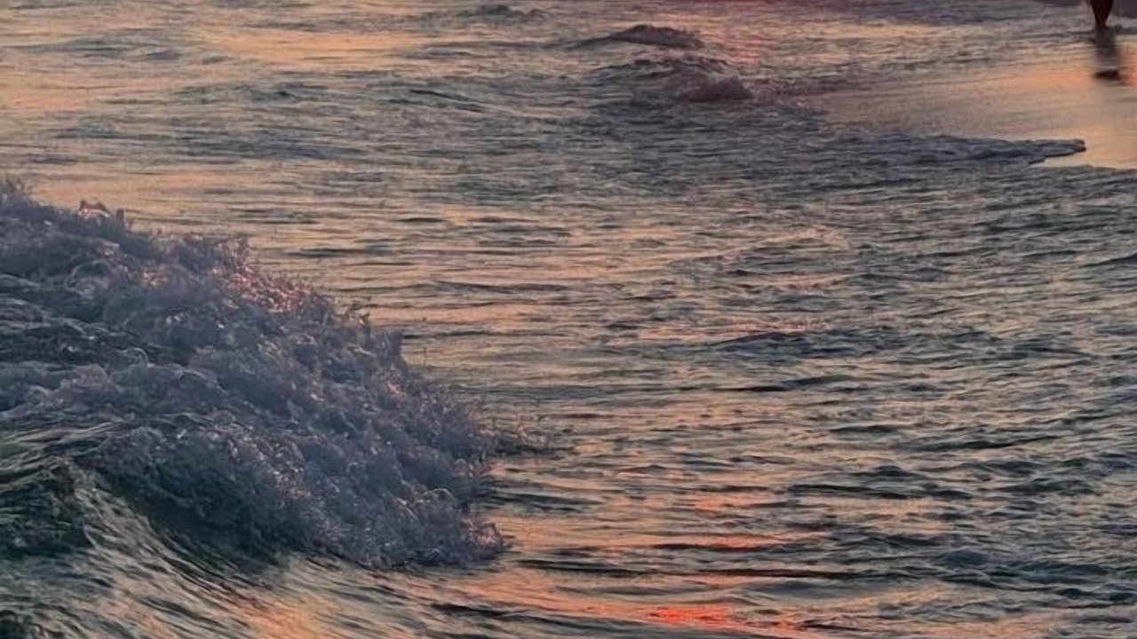 Photo of Others in Fort Walton Beach