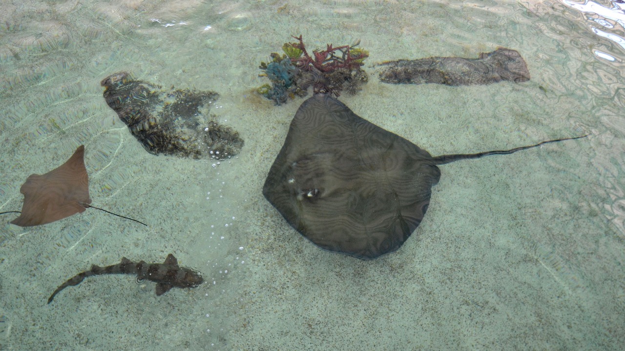 Photo of Others in Fort Walton Beach