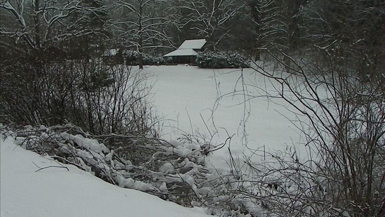 Photo of Others in Fairview
