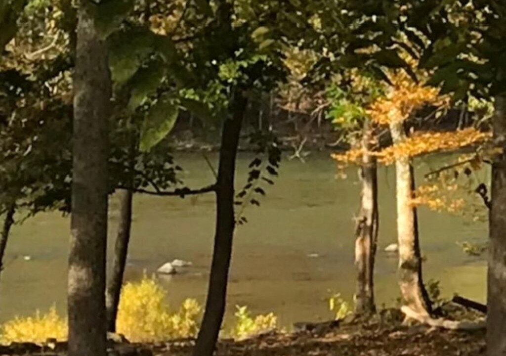 Photo of Outdoor in Meadow Bridge
