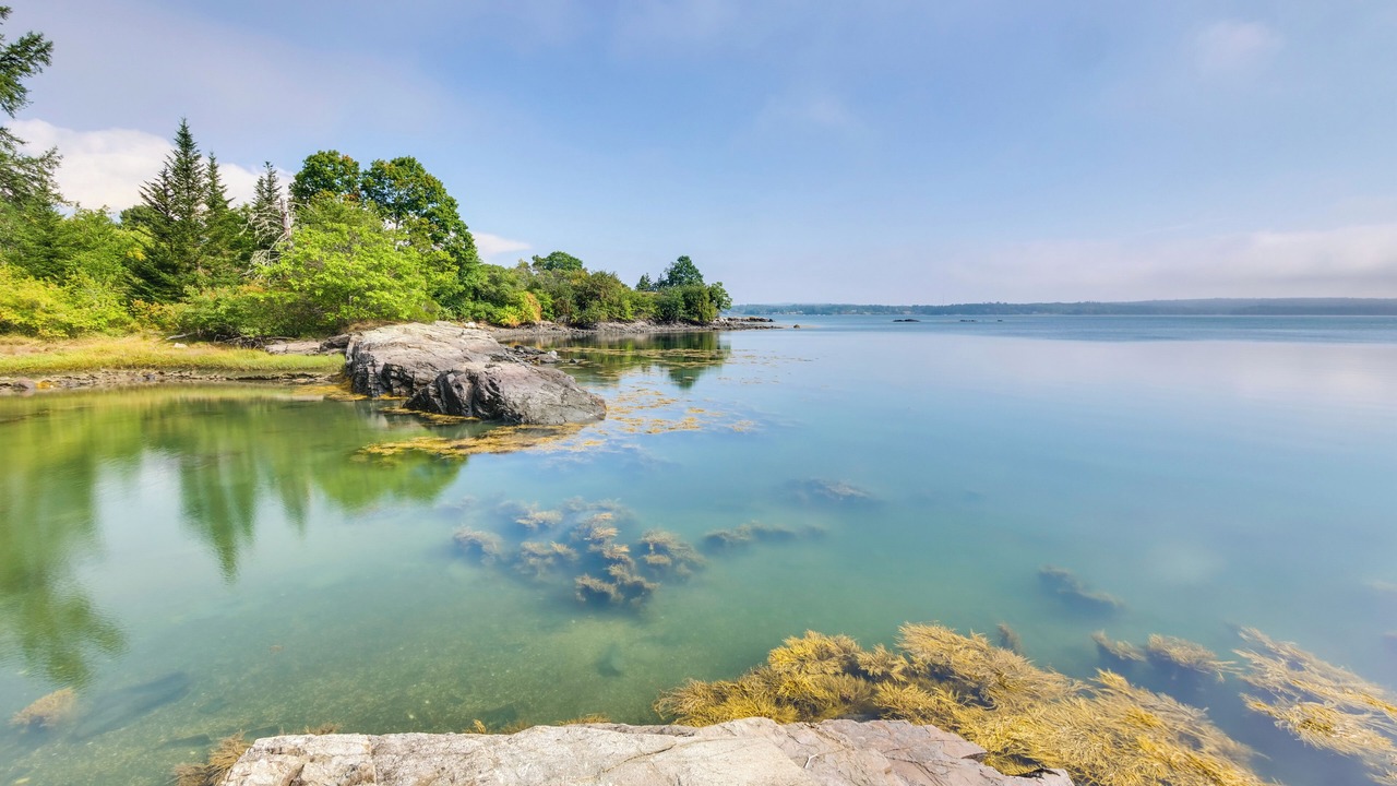 Photo of Others in Sorrento