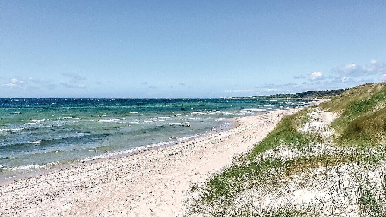 Photo of Others in Dueodde