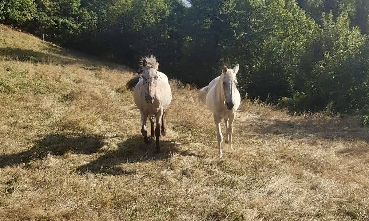 Photo of Others in Courniou