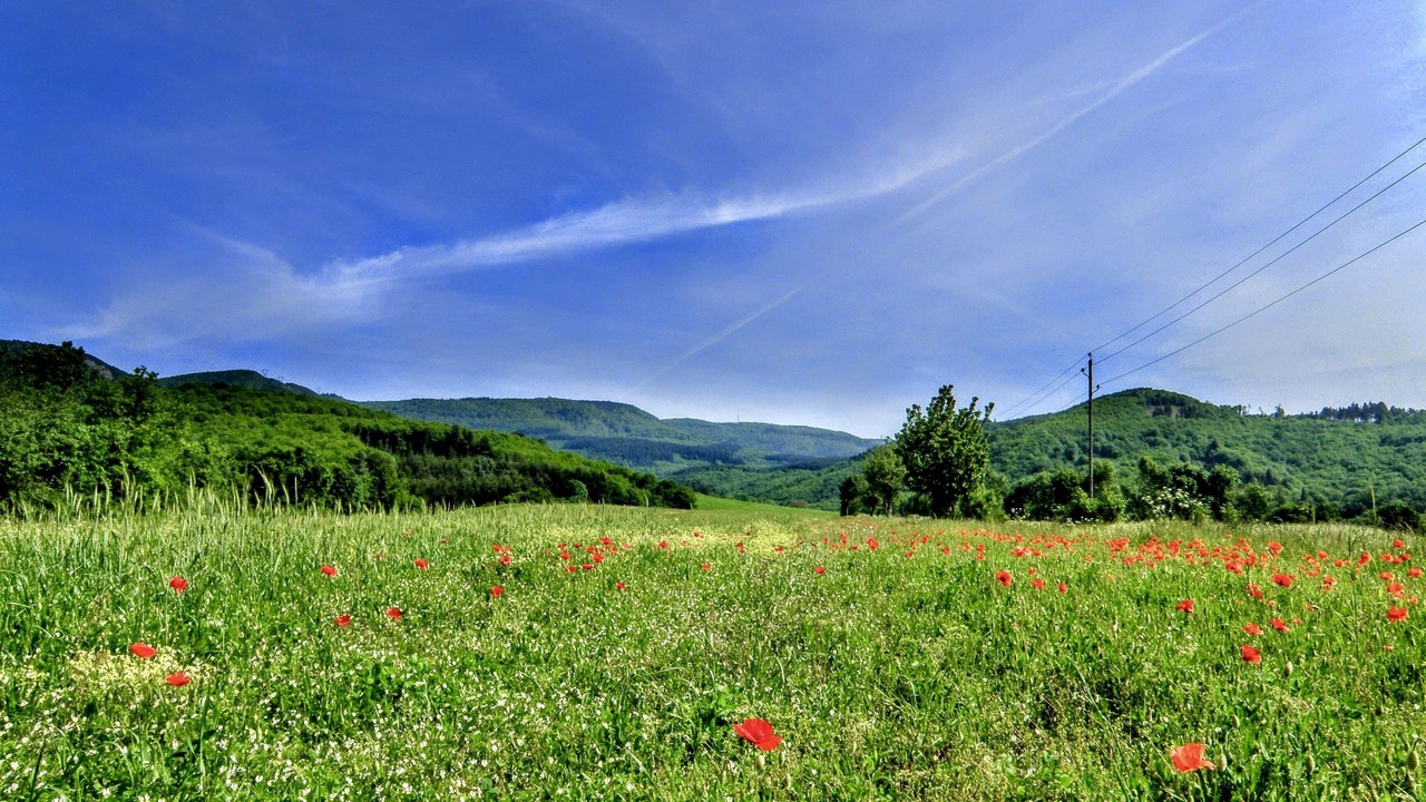 Photo of Others in Courniou