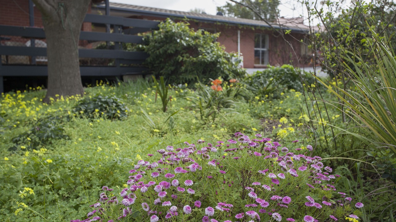Photo of Outdoor in Gawler East
