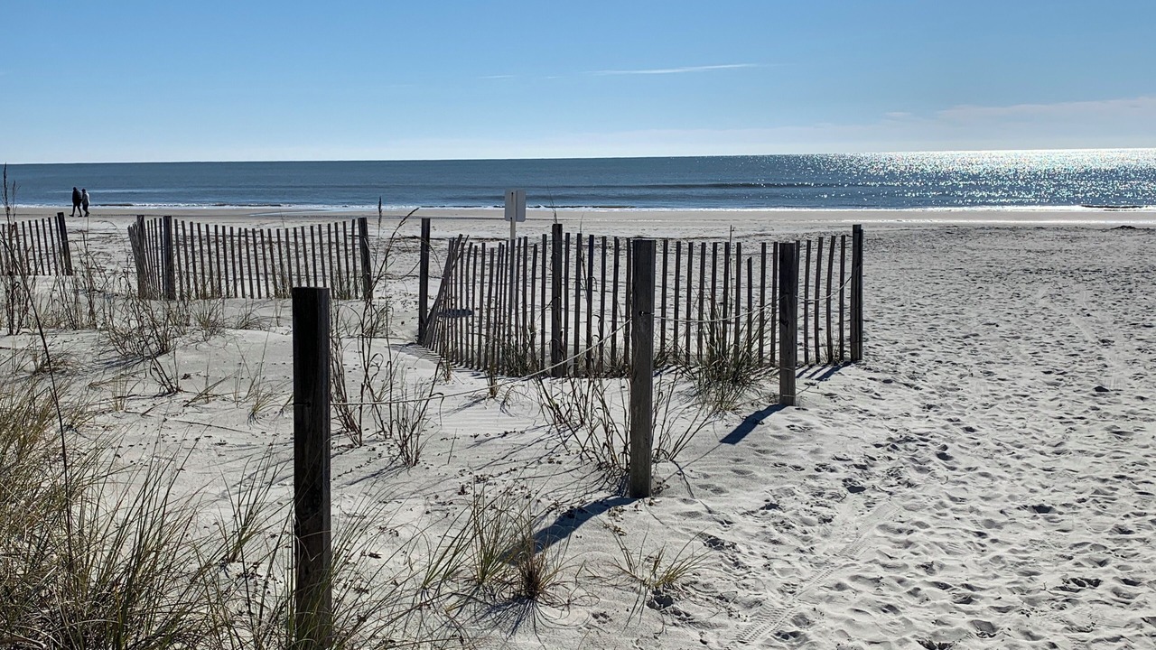 Photo of Others in Hilton Head Island