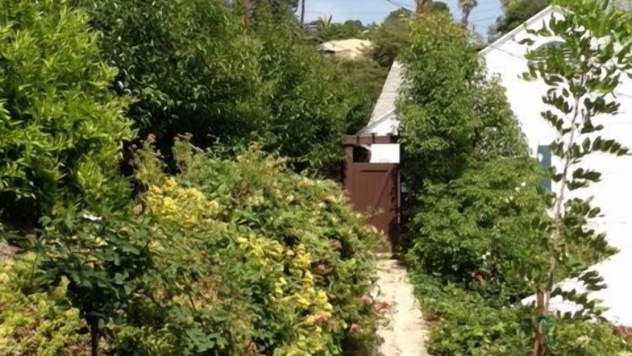 Photo of Outdoor in Sunset Junction
