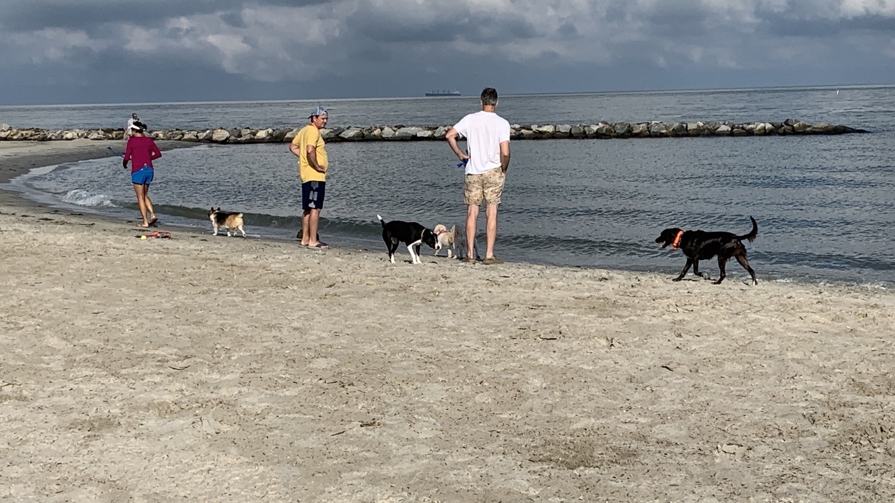 Photo of Others in Cape Charles