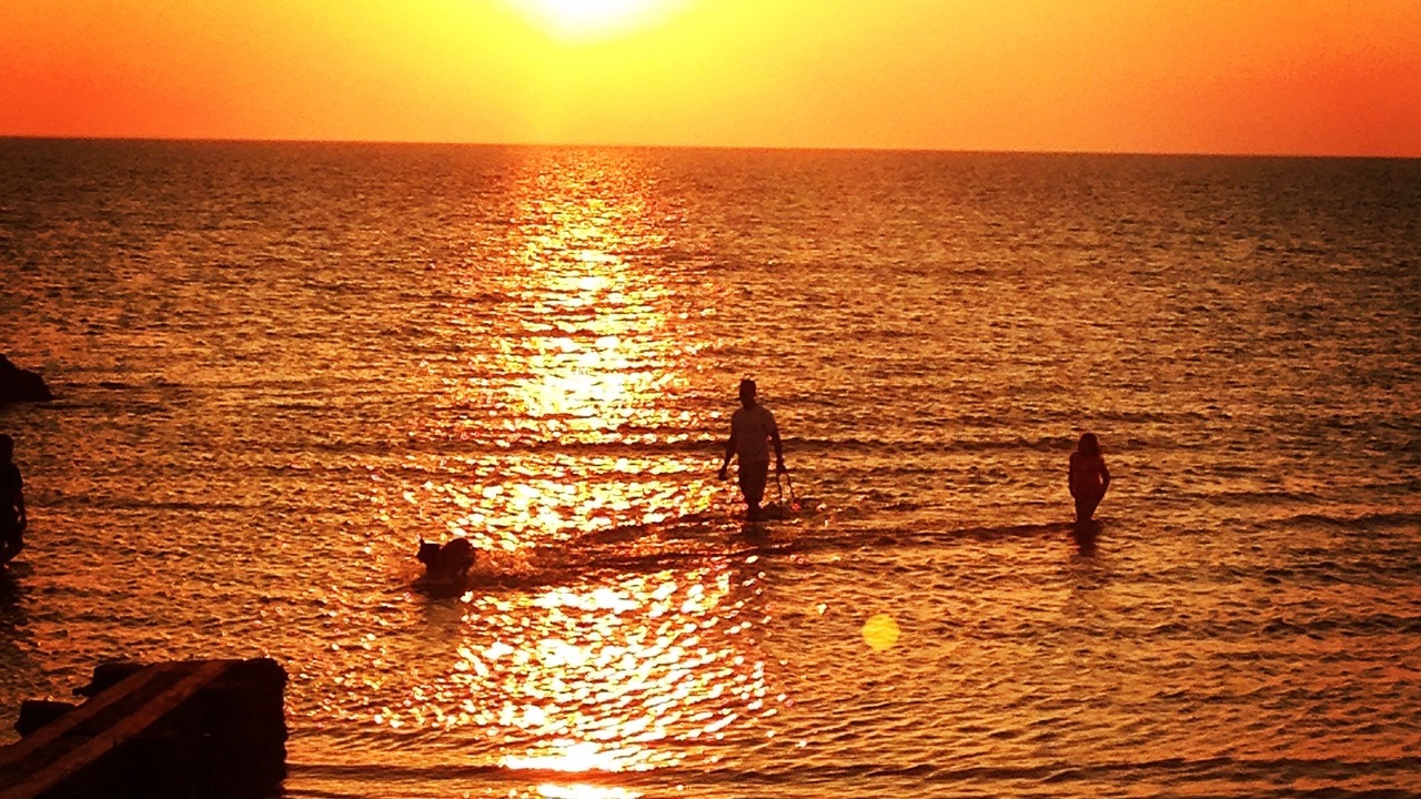 Photo of Others in Cape Charles