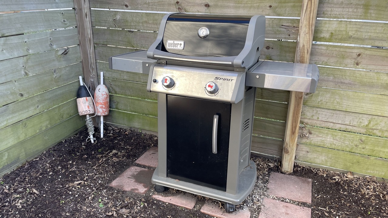 Photo of Others in Cape Charles