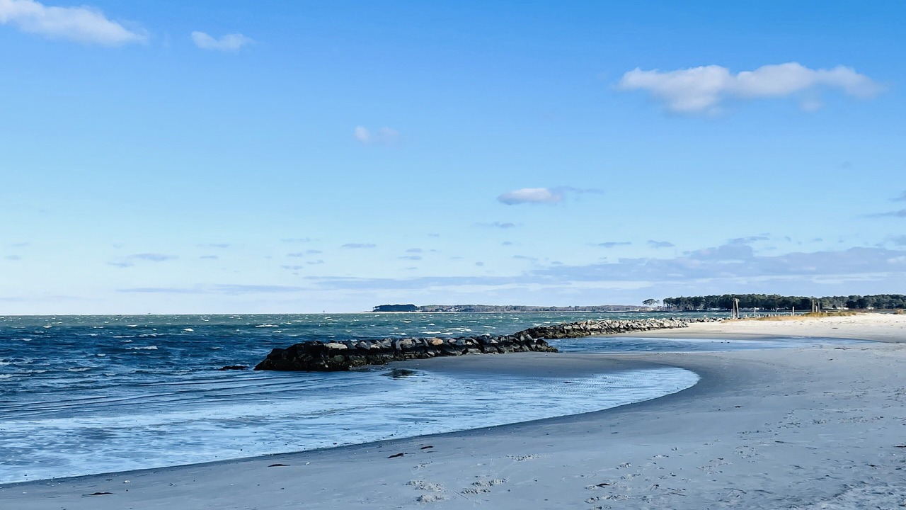 Photo of Others in Cape Charles
