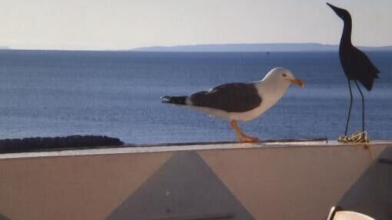 Photo of Others in Le Grau-Du-Roi
