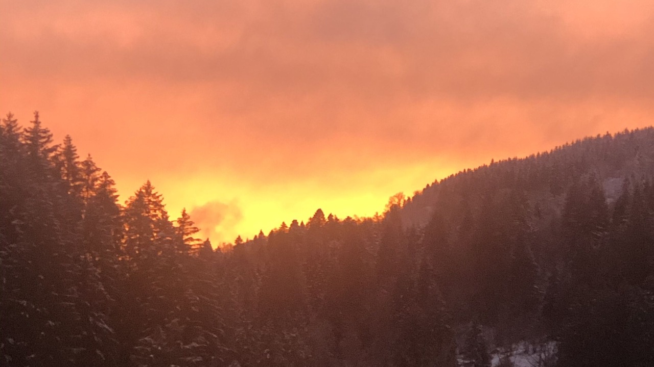 Photo of Outdoor in Gerardmer