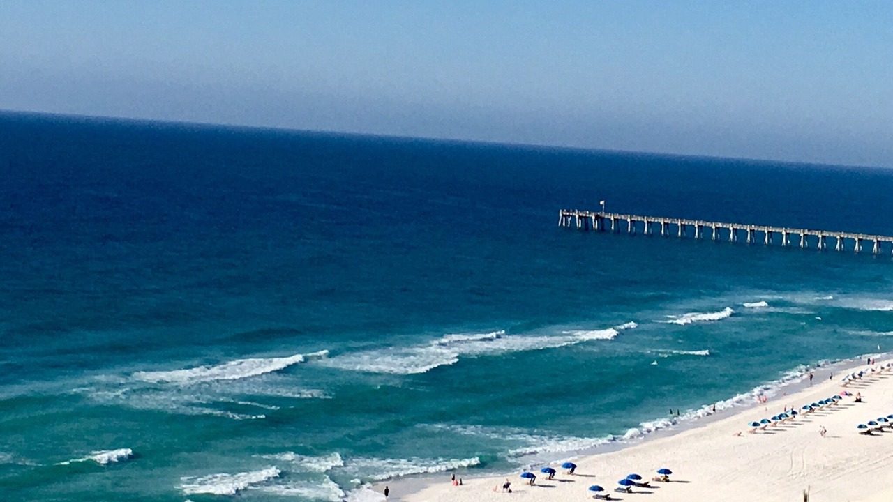 Photo of Others in Pensacola Beach