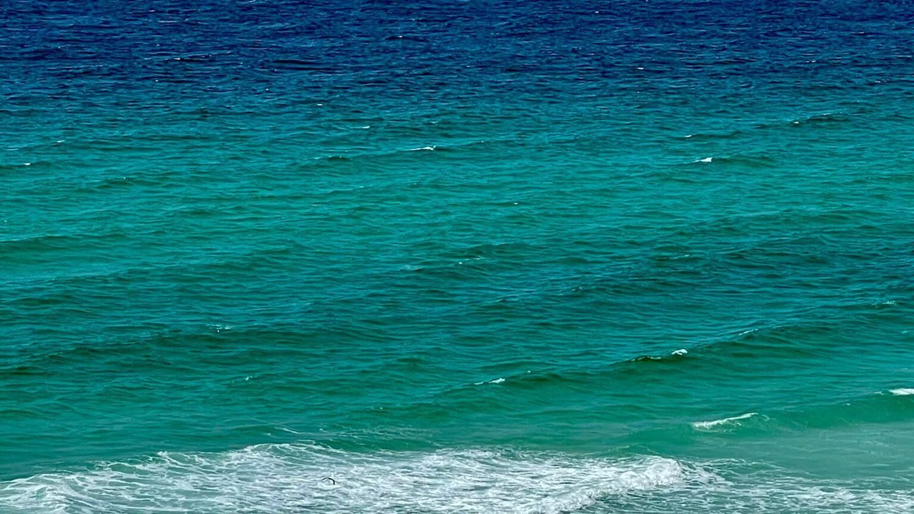Photo of Others in Pensacola Beach