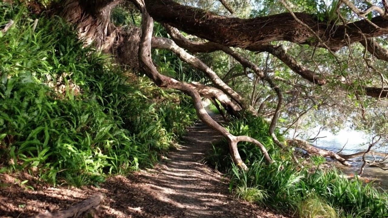 Photo of Others in Opua